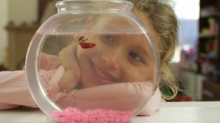 Wie erstellt man ein Süßwasseraquarium?