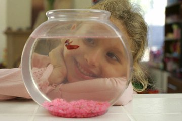 Wie erstellt man ein Süßwasseraquarium?