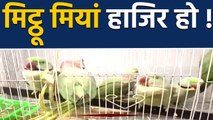 Patiala House Court में 13 Parrots की पेशी,देखकर सब हुए suprised | वनइंडिया हिंदी