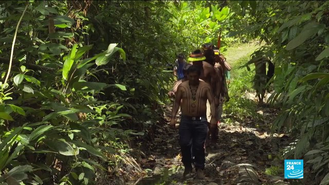 Amazonie et Caraïbes au cœur du FIFAC en Guyane