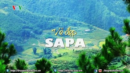 Ve ep Sapa _ VOVTV _ Viet Nam ve ep bat tan