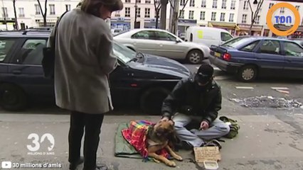 À Paris, cette péniche accueille les SDF avec leur chien