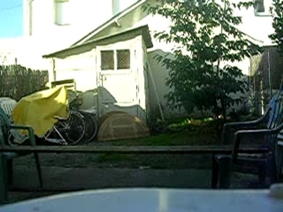 DSCN3073