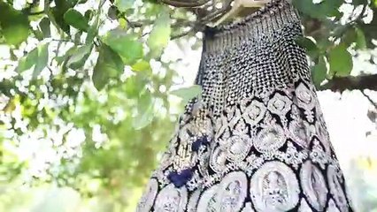 bridal lehenga collections by Tulsi Studio