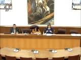 Roma - Audizioni assegno unico per i figli a carico (17.10.19)
