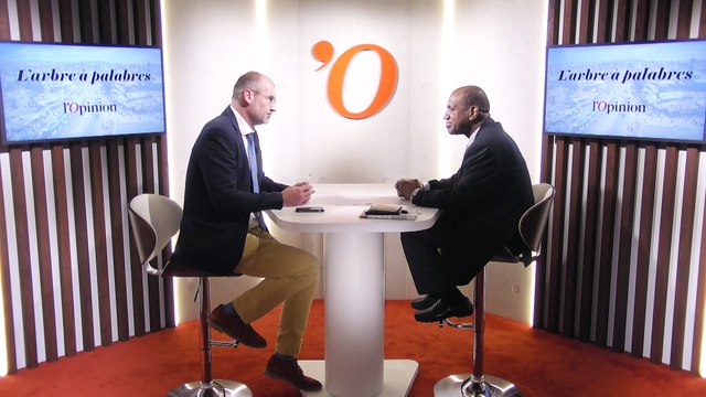 Débat constitutionnel en Guinée: «Alpha Condé peut encore sortir par la grande porte», affirme Kabine Komara