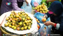Cho phien Bac Ha _ VOVTV _ Viet Nam ve ep bat tan
