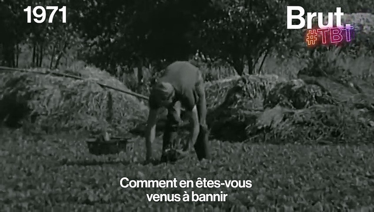 En 1971, quand la télé française découvrait la tendance des produits "naturels"