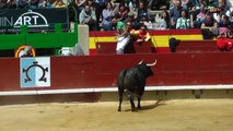 Concurso de recortes Castellón 2019
