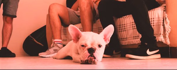 Mart Gibi &Tali Ft. Burkut - Bi' Sorun Var