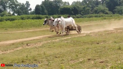 Pat pratiyogita ghoti lalbarra (balaghat) october 2019 - by raja tande