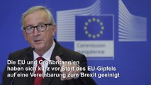 Durchbruch in Brexit-Verhandlungen kurz vor EU-Gipfel