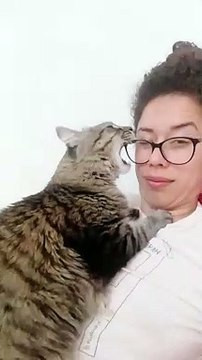 Attention Seeking Kitty Chews Glasses