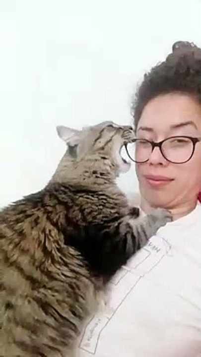 Attention Seeking Kitty Chews Glasses