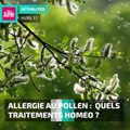 Allergie au pollen :  quels traitements homéo ?