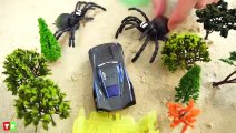 COCHE va al garaje . Go Go DISNEY CARS , Giant Spider, juguetes para niños
