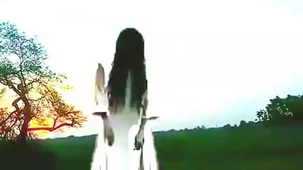 TOMMY'S DEATH ON 1991, - gondia- Tirora- Tumsar- Amgaon- Salekasa- Darekasa- Kachewani- गोंदिया ( 360 X 640 )