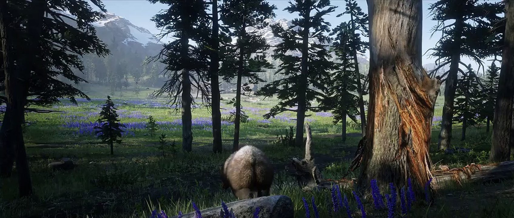 Red Dead Redemption 2 PC Trailer