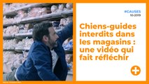 Chiens-guides interdits dans les magasins : une vidéo qui fait réfléchir