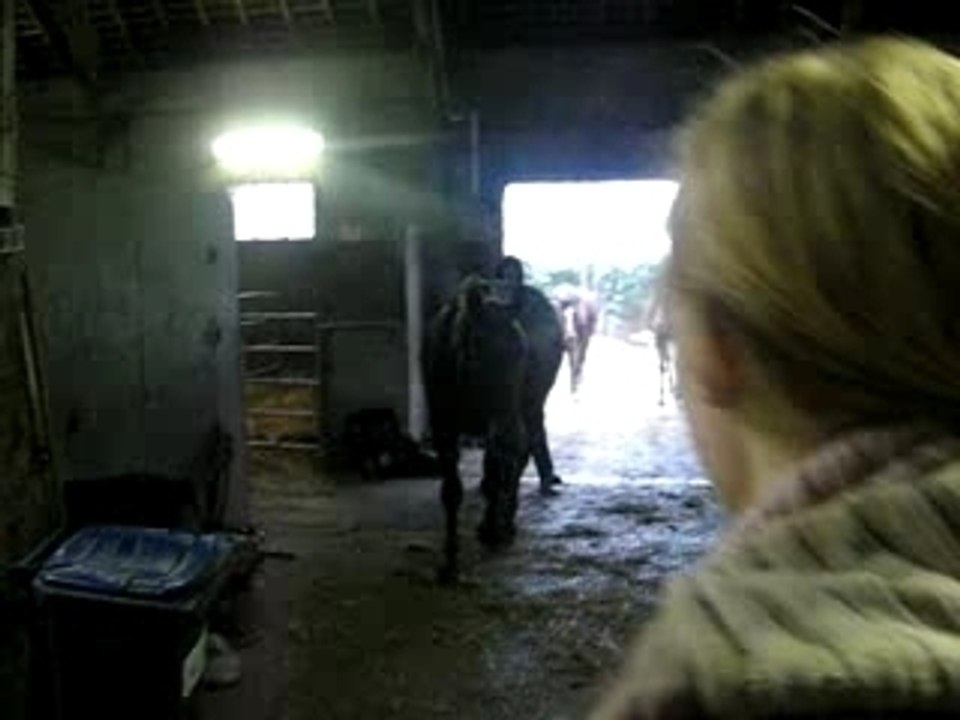 Zoé et Minus 00001