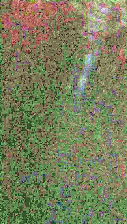 VID_20191008_200455