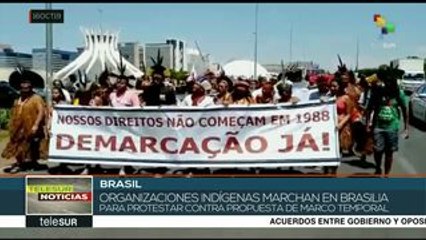 Brasil: indígenas marchan contra propuesta de "marco temporal"