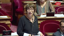 Paris : amendement de Marie-Perre de la Gontrie sur la création d'une police municipale