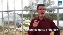 Vendredi: Bernard Plantevin, conseiller technique en culture de fraise à la chambre d'agriculture de la Dordogne