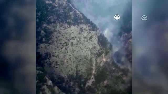 Seydikemer'de orman yangını