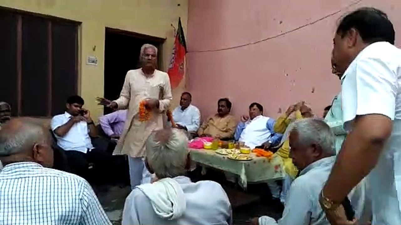 Kon bola