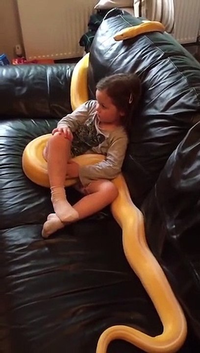 Une fillette regarde la TV avec son animal de compagnie, un boa jaune de 4m
