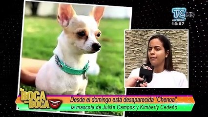 VIDEO | ‘Campanita’ fue estafada al tratar de recuperar a su mascota