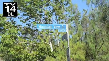 NYLON EXCLUSIVE: ZOLITA "VALLEY GURL" SNEAK PEEK