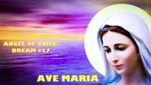 ANGEL OF VOICE: DREAM #17 (