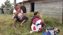 Indígenas tzotziles son presas del miedo tras dos 2 años de ser desplazados en México