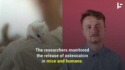 What happens to the body during a "fight or flight" response?