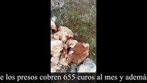 Pablo Iglesias exige que los presos cobren 655 euros al mes y esto le dice un currante