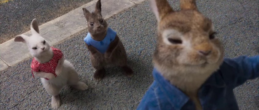 Pierre Lapin 2 Panique en ville Film