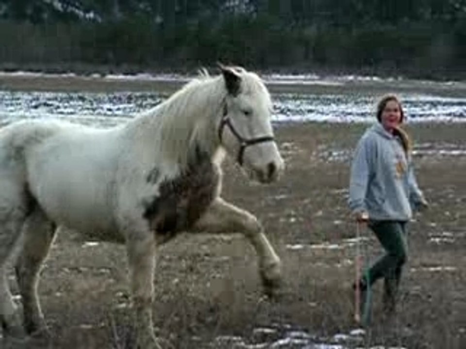 Trot