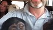 This couple are real life heroes they RESCUED over 40 chimpanzees - Naturee Wildlife