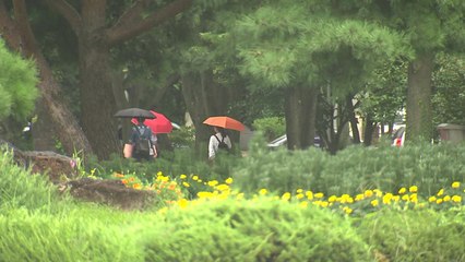 [날씨] 오늘 영동·남부 가을비...낮 동안 선선 / YTN