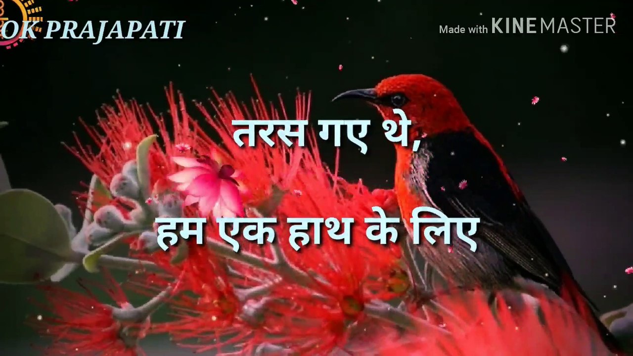 मौत के लिए शायरी | shayari video | 2019