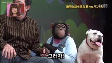 29★하이디SP ③팡군과 제임스