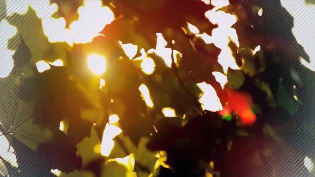 A vendre - Appartement - Valeyres-sous-Rances (1358) - 4.5 pièces - 127m²