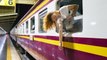 Milagro en el Metro: La mujer cae a las vías y los pasajeros logran frenar el tren 'in extremis'