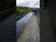 Dog on Leash Swims in Aqueduct as Owner Walks Alongside on Path