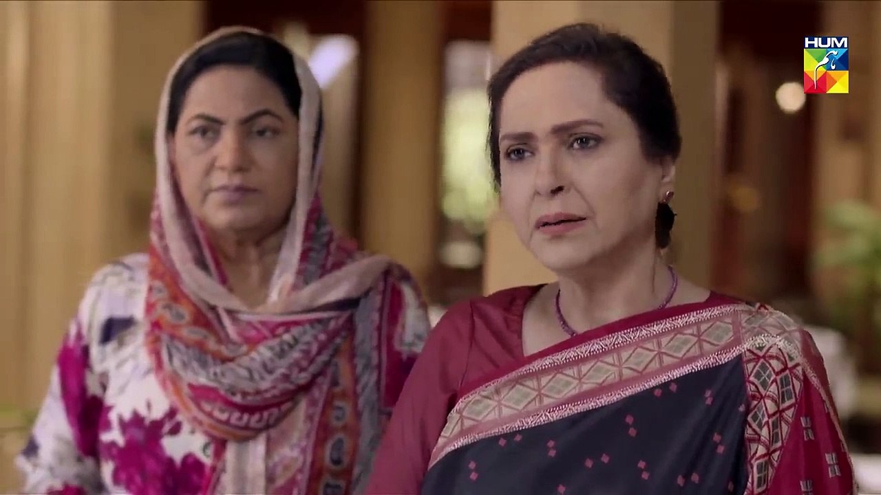 Ishq Zahe Naseeb Episode 17 HUM TV Drama 11 October 2019