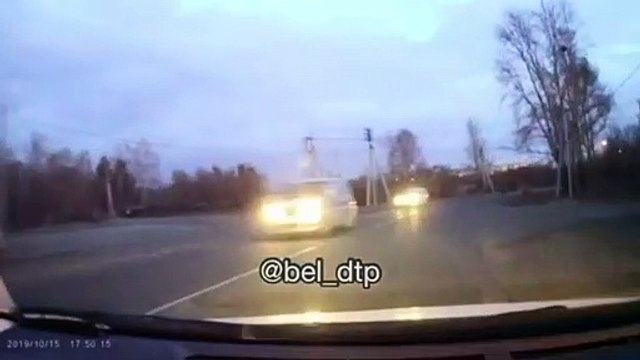 Un homme sauve une fillette d'une meute de chiens