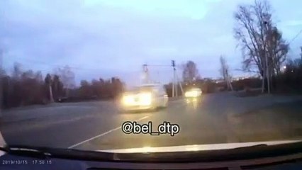 Un homme sauve une fillette d'une meute de chiens