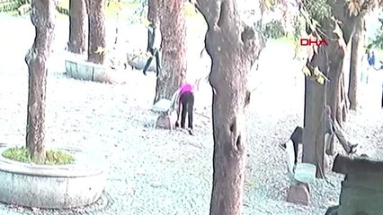 Zonguldak parktaki hırsızlık güvenlik kamerasında